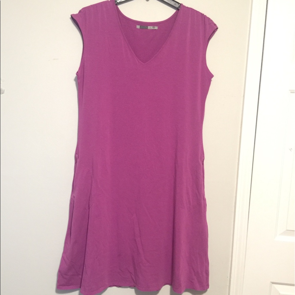 Raspberry Dress by Athleta